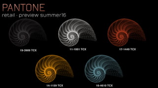 19-3909 TCX 11-1001 TCX 17-1449 TCX
14-1159 TCX 16-4610 TCX
pantone
retail • preview summer16
pantone
retail • preview summer16
 