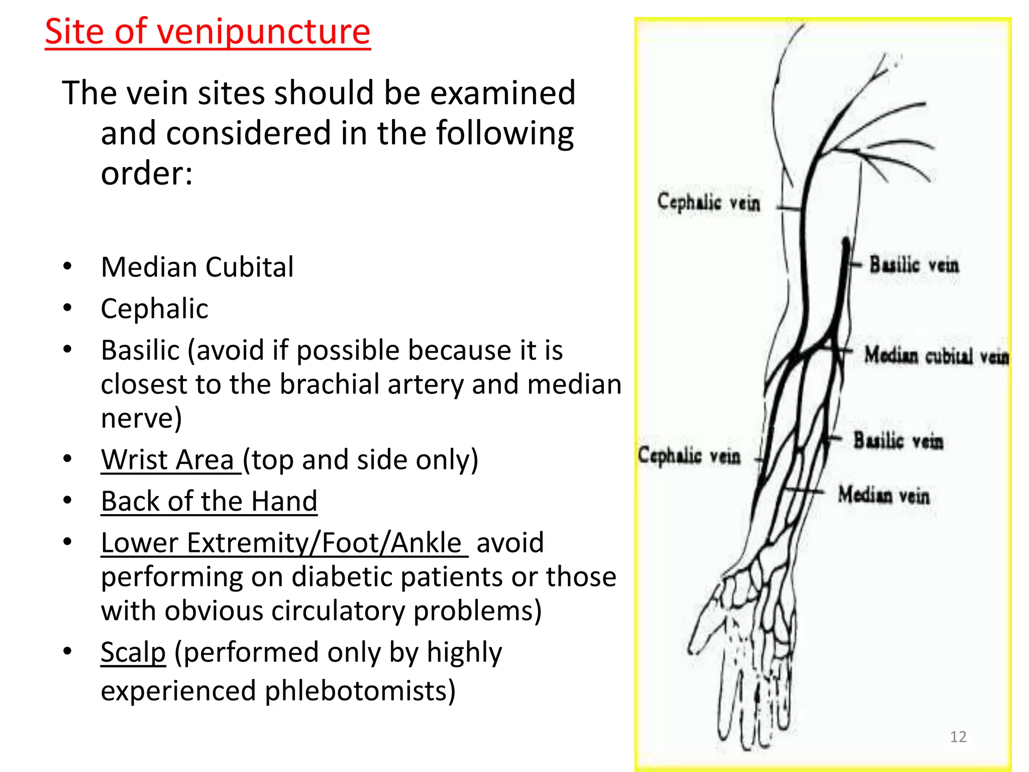 The vein sites should be examined
and considered in the following
order:
• Median Cubital
• Cephalic
• Basilic (avoid if possible because it is
closest to the brachial artery and median
nerve)
• Wrist Area (top and side only)
• Back of the Hand
• Lower Extremity/Foot/Ankle avoid
performing on diabetic patients or those
with obvious circulatory problems)
• Scalp (performed only by highly
experienced phlebotomists)
Site of venipuncture
12
 