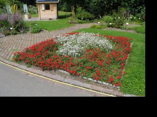 Rambling Roots: Inspiration for Your Garden from Around the World | PPT