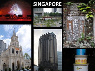 Rambling Roots: Inspiration for Your Garden from Around the World | PDF