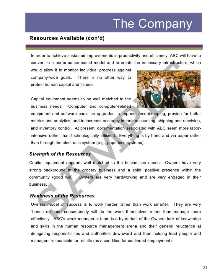 business report sample