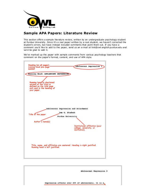 apa format literature review