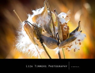 Liza Timmers Photography   A Portfolio
 