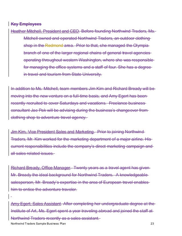 sample business plan 2 traveling agency business plan