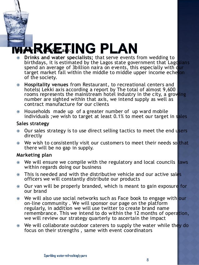 Sample business plan for social network