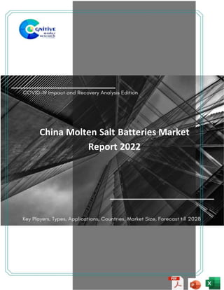 China Molten Salt Batteries Market
Report 2022
 