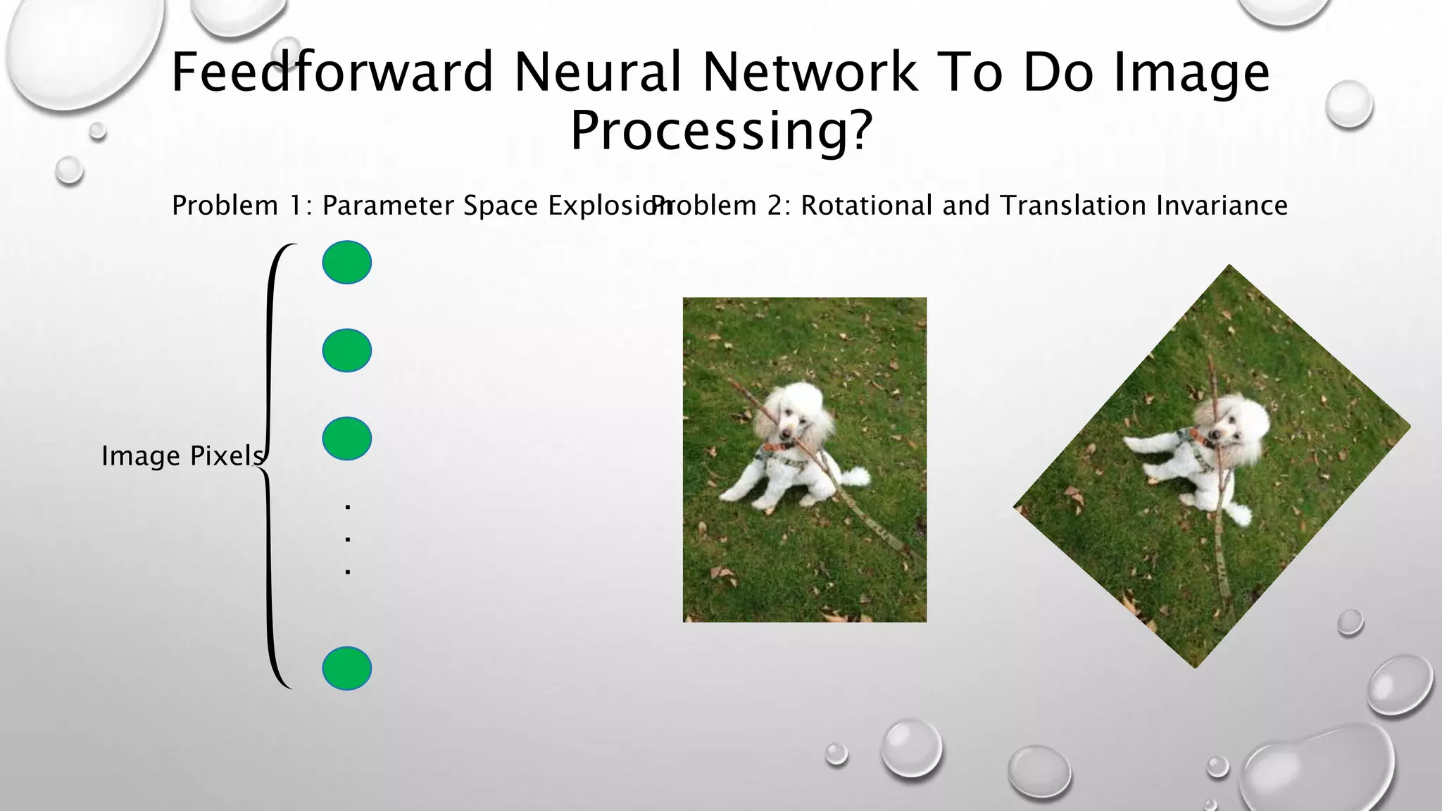 Feedforward Neural Network To Do Image
Processing?
.
.
.
Image Pixels
Problem 1: Parameter Space ExplosionProblem 2: Rotational and Translation Invariance
 