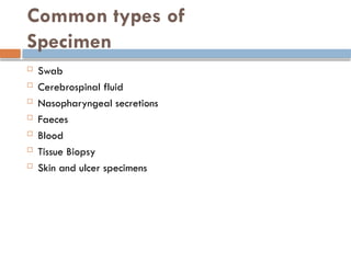 Common types of
Specimen
 Swab
 Cerebrospinal fluid
 Nasopharyngeal secretions
 Faeces
 Blood
 Tissue Biopsy
 Skin and ulcer specimens
 