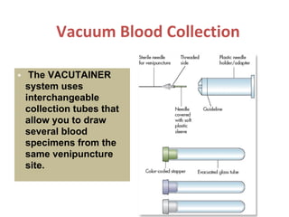 Collection & Handling of Blood Sample Hematology | PDF