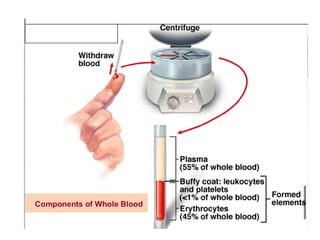 Collection & Handling of Blood Sample Hematology | PDF