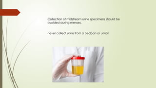 Urine Sample Collection, Transport & Microbiological Processing: A Step ...