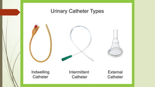 Urine Sample Collection, Transport & Microbiological Processing: A Step ...