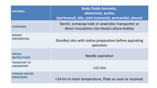 Ascites Sampling Sample collection and transport ppt (3).pptx