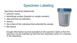 Sample collection and transport ppt (3).pptx