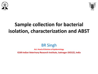 Sample collection for bacterial
isolation, characterization and ABST
BR Singh
Act. Head of Division of Epidemiology
ICAR-Indian Veterinary Research Institute, Izatnagar-243122, India
 