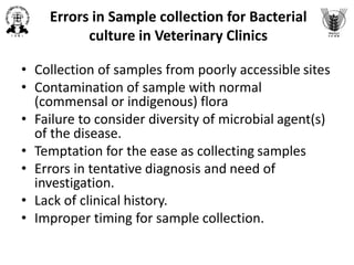 Sample collection for bacterial isolation, characterization and ...