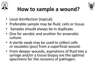 Sample collection for bacterial isolation, characterization and ...
