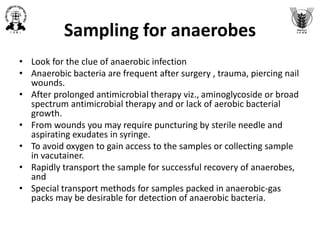 Sample collection for bacterial isolation, characterization and ...