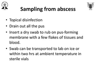 Sample collection for bacterial isolation, characterization and ...