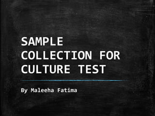 SAMPLE
COLLECTION FOR
CULTURE TEST
By Maleeha Fatima
 