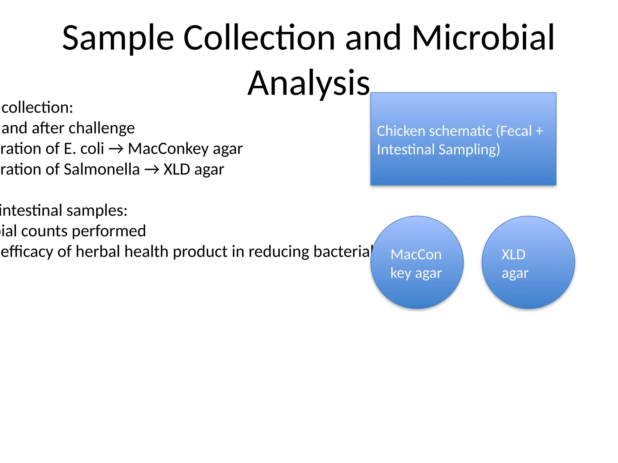 Sample_Collection_Microbial_Analysis_Visual.pptx