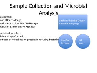 Sample_Collection_Microbial_Analysis_Visual.pptx