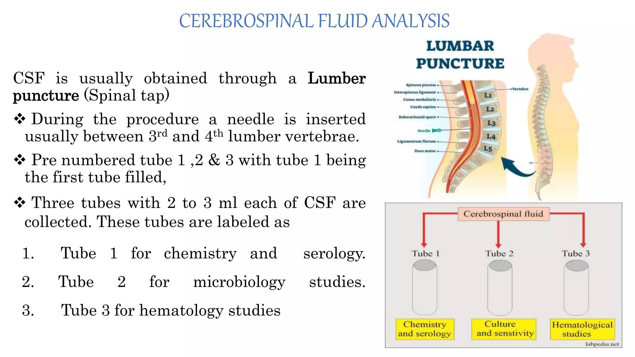 CEREBROSPINAL FLUID ANALYSIS
CSF is usually obtained through a Lumber
puncture (Spinal tap)
 During the procedure a needle is inserted
usually between 3rd and 4th lumber vertebrae.
 Pre numbered tube 1 ,2 & 3 with tube 1 being
the first tube filled,
 Three tubes with 2 to 3 ml each of CSF are
collected. These tubes are labeled as
1. Tube 1 for chemistry and serology.
2. Tube 2 for microbiology studies.
3. Tube 3 for hematology studies
 