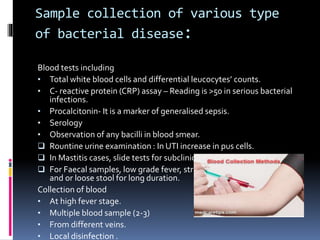 Sample Collection Procedure Ppt.pptx