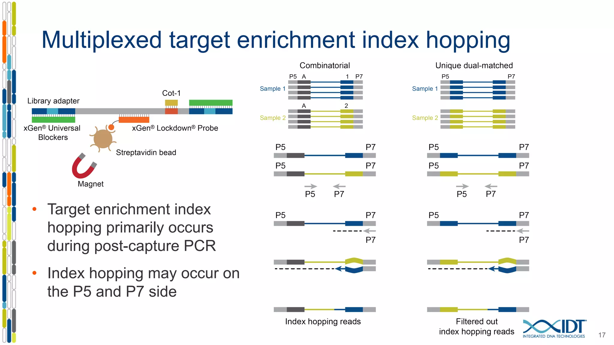 Multiplexed target enrichment index hopping
17
• Target enrichment index
hopping primarily occurs
during post-capture PCR
• Index hopping may occur on
the P5 and P7 side
 
