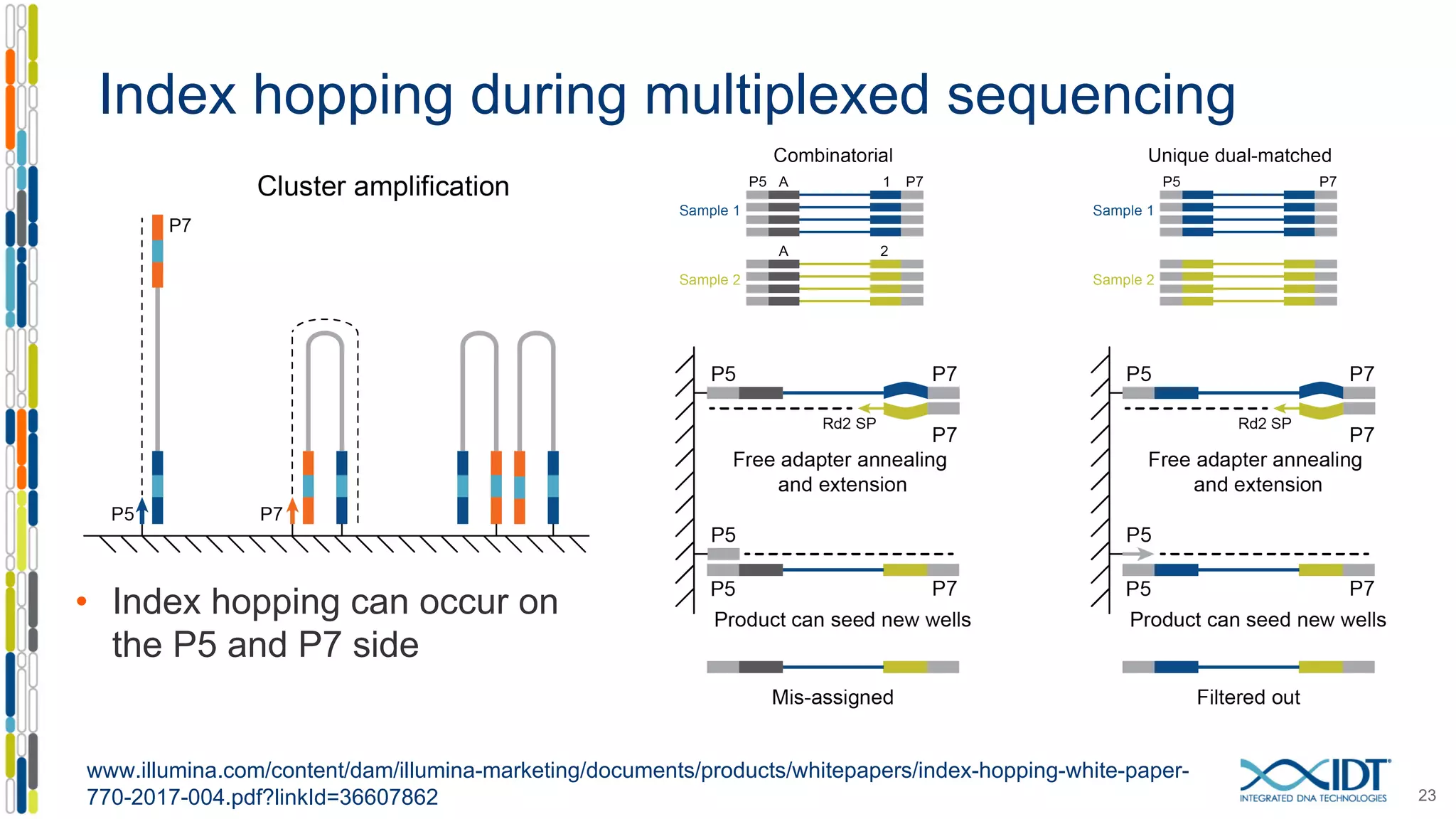 Index hopping during multiplexed sequencing
23
www.illumina.com/content/dam/illumina-marketing/documents/products/whitepapers/index-hopping-white-paper-
770-2017-004.pdf?linkId=36607862
• Index hopping can occur on
the P5 and P7 side
 