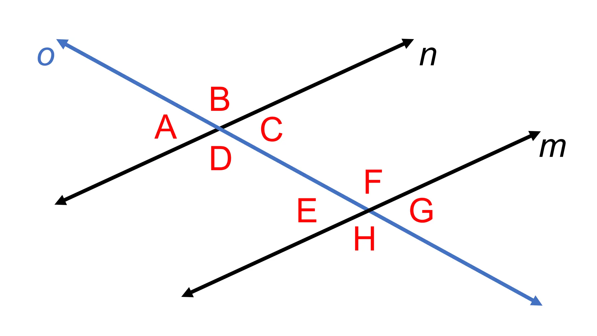 A
B
C
D
F
E
H
G
m
n
o
 