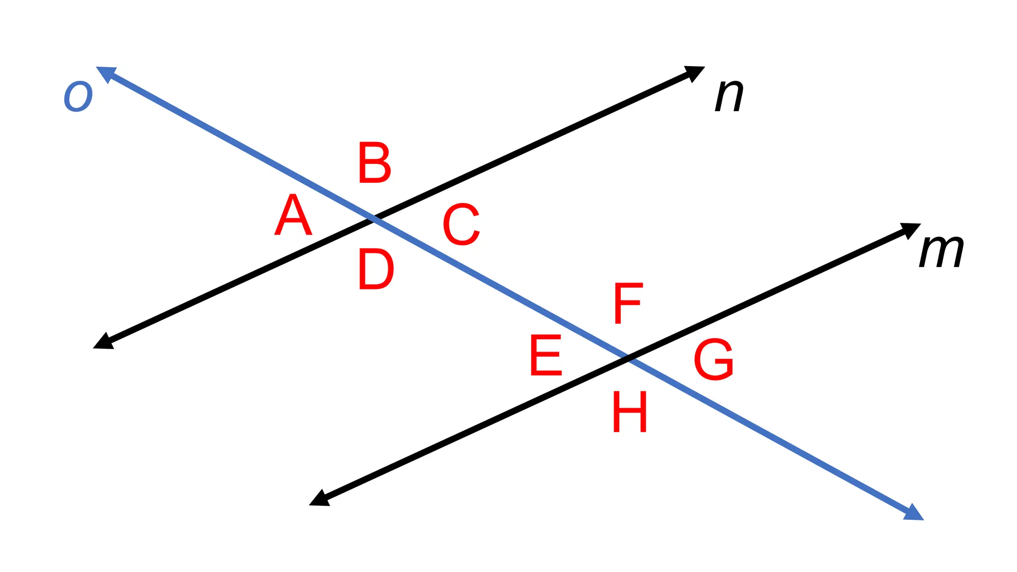 A
B
C
D
F
E
H
G
m
n
o
 