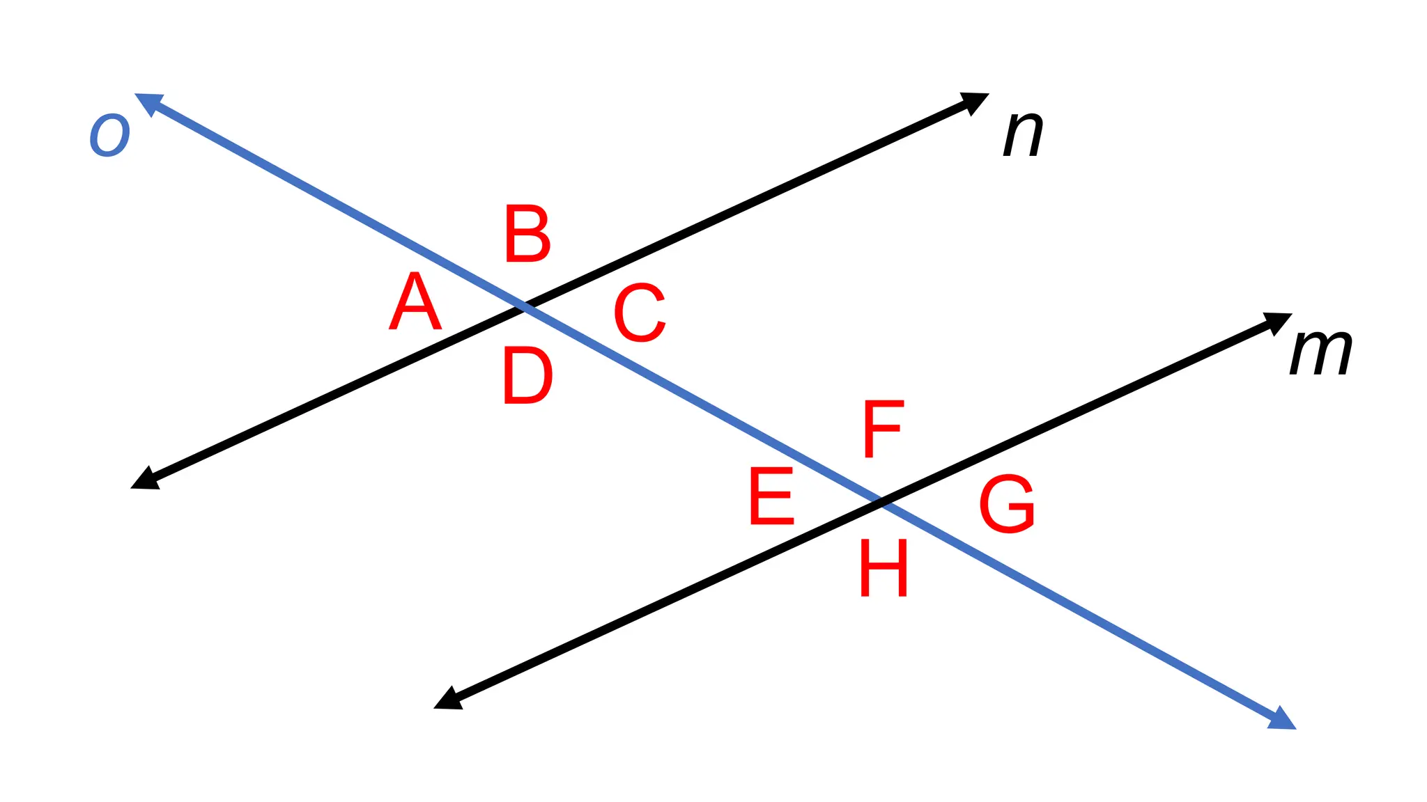 A
B
C
D
F
E
H
G
m
n
o
 