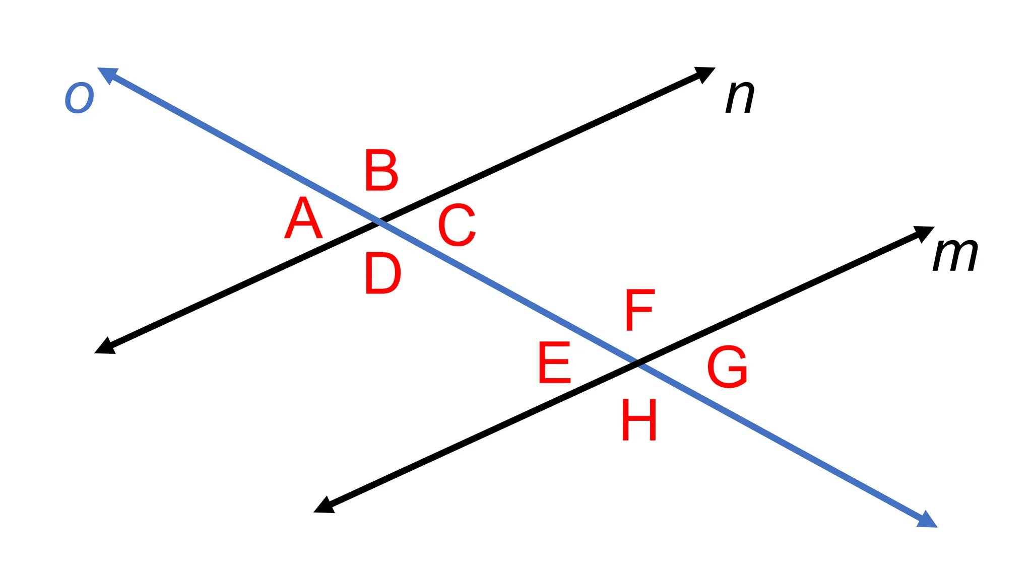 A
B
C
D
F
E
H
G
m
n
o
 