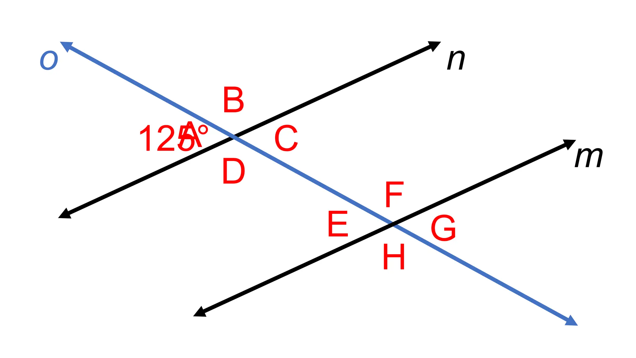 A
B
C
D
F
E
H
G
m
n
o
125°
 