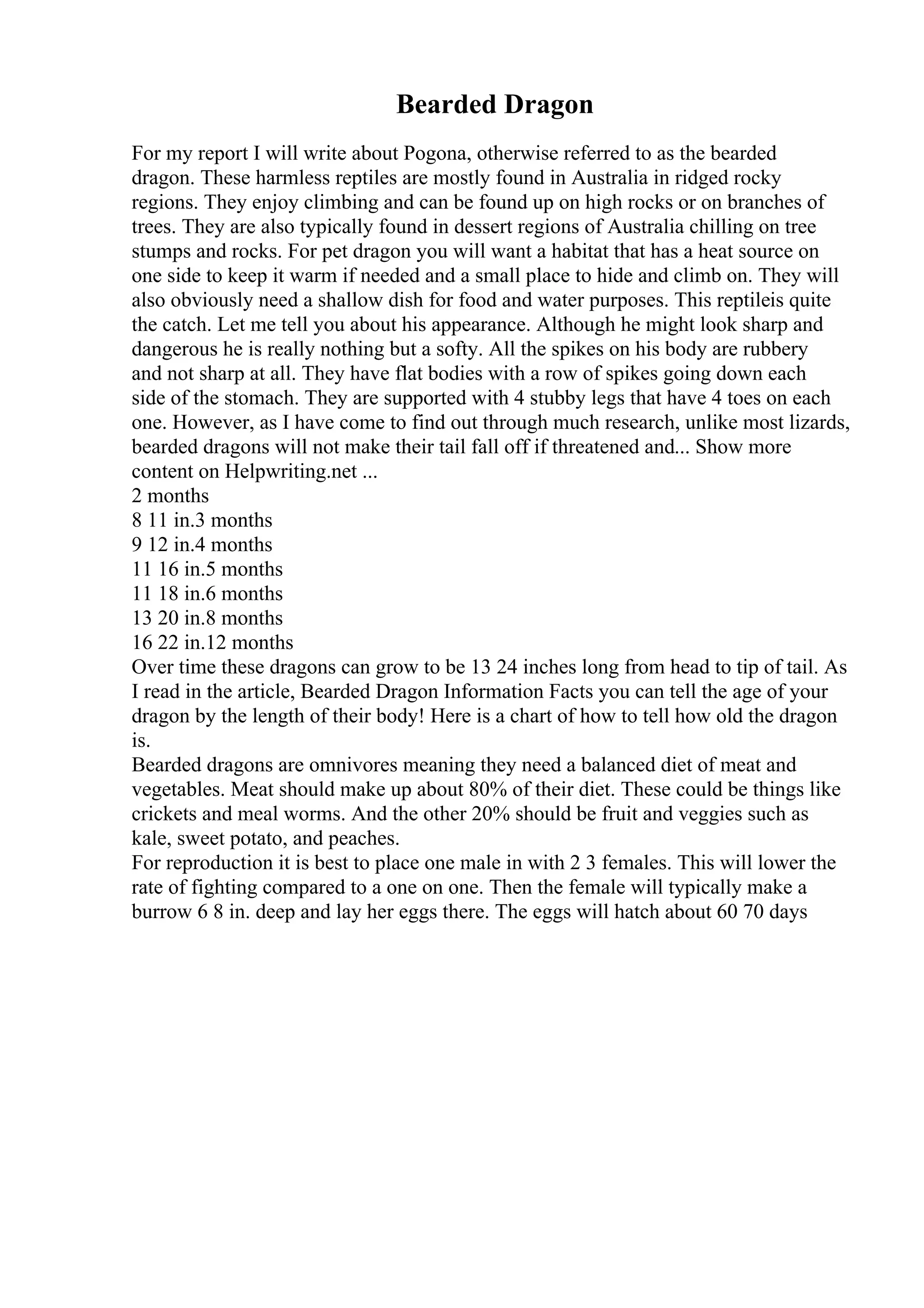 Bearded Dragon
For my report I will write about Pogona, otherwise referred to as the bearded
dragon. These harmless reptiles are mostly found in Australia in ridged rocky
regions. They enjoy climbing and can be found up on high rocks or on branches of
trees. They are also typically found in dessert regions of Australia chilling on tree
stumps and rocks. For pet dragon you will want a habitat that has a heat source on
one side to keep it warm if needed and a small place to hide and climb on. They will
also obviously need a shallow dish for food and water purposes. This reptileis quite
the catch. Let me tell you about his appearance. Although he might look sharp and
dangerous he is really nothing but a softy. All the spikes on his body are rubbery
and not sharp at all. They have flat bodies with a row of spikes going down each
side of the stomach. They are supported with 4 stubby legs that have 4 toes on each
one. However, as I have come to find out through much research, unlike most lizards,
bearded dragons will not make their tail fall off if threatened and... Show more
content on Helpwriting.net ...
2 months
8 11 in.3 months
9 12 in.4 months
11 16 in.5 months
11 18 in.6 months
13 20 in.8 months
16 22 in.12 months
Over time these dragons can grow to be 13 24 inches long from head to tip of tail. As
I read in the article, Bearded Dragon Information Facts you can tell the age of your
dragon by the length of their body! Here is a chart of how to tell how old the dragon
is.
Bearded dragons are omnivores meaning they need a balanced diet of meat and
vegetables. Meat should make up about 80% of their diet. These could be things like
crickets and meal worms. And the other 20% should be fruit and veggies such as
kale, sweet potato, and peaches.
For reproduction it is best to place one male in with 2 3 females. This will lower the
rate of fighting compared to a one on one. Then the female will typically make a
burrow 6 8 in. deep and lay her eggs there. The eggs will hatch about 60 70 days
 
