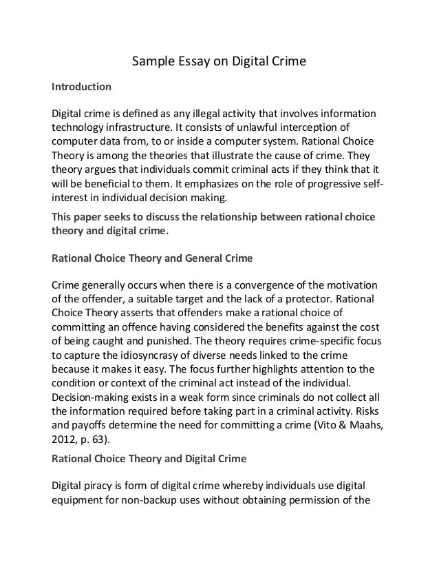 digital crime essay