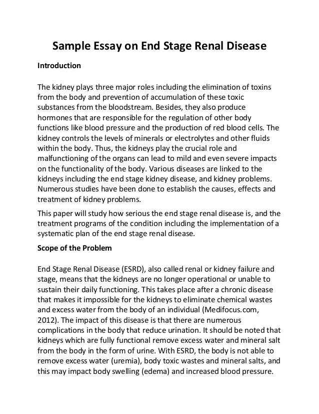 essay on kidneys