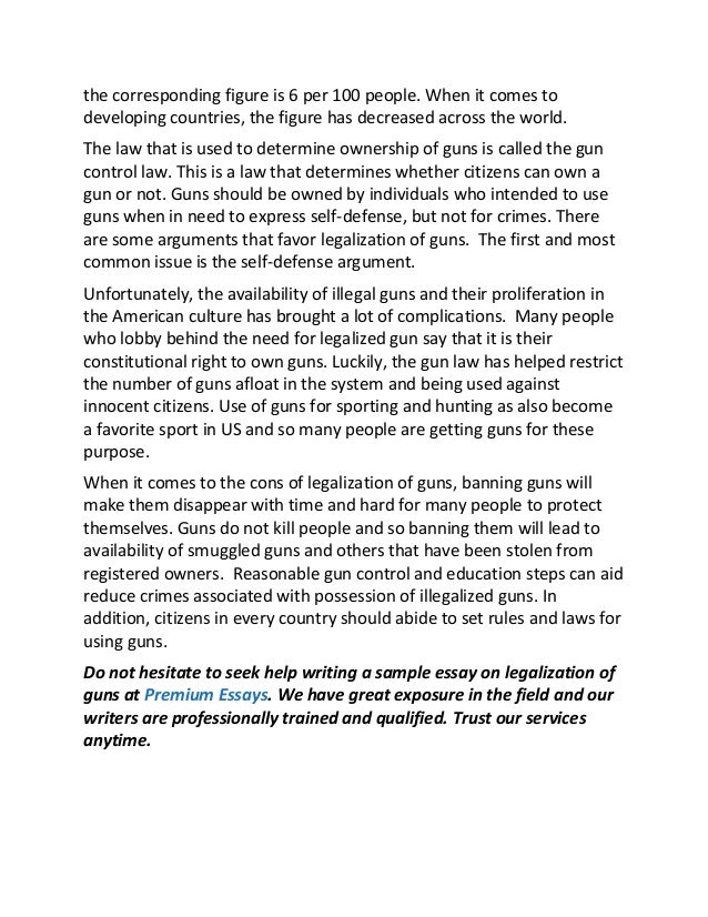 essay on guns in america