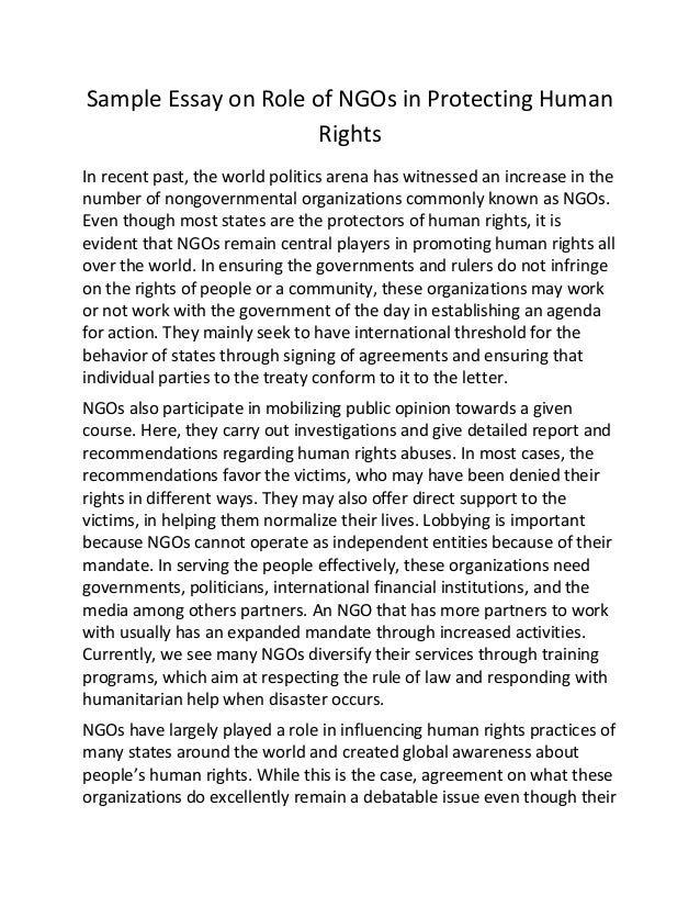 Sample Essay On Role Of Ng Os In Protecting Human Rights - 