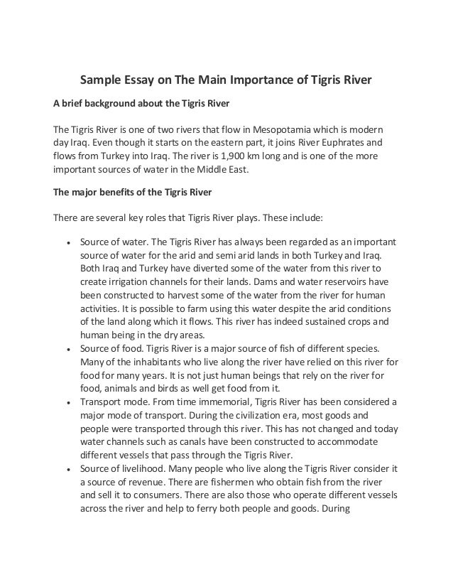 essay about homeless people