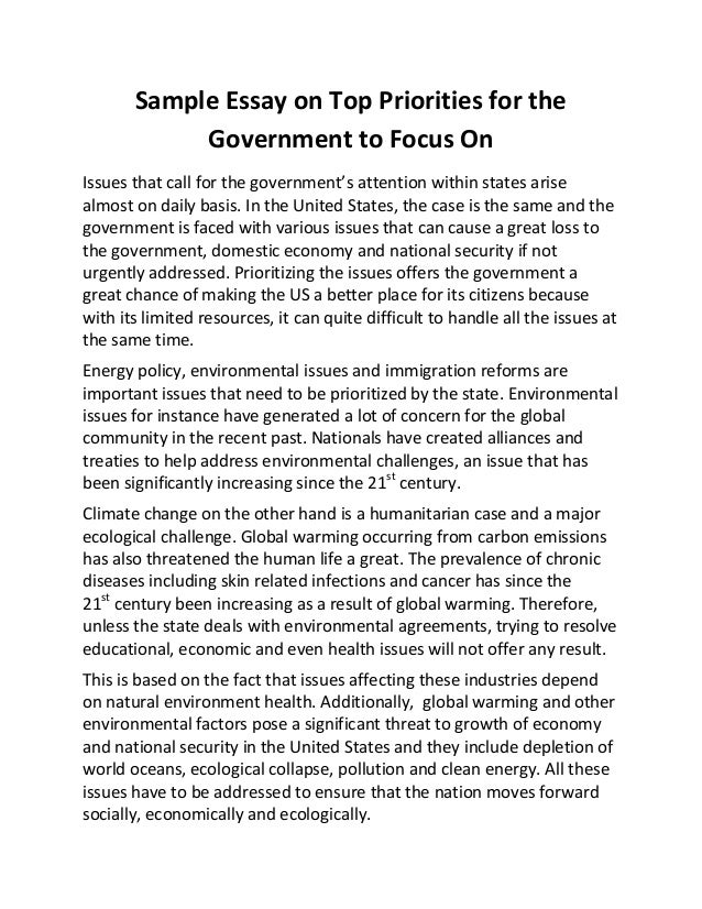 essay on government written by