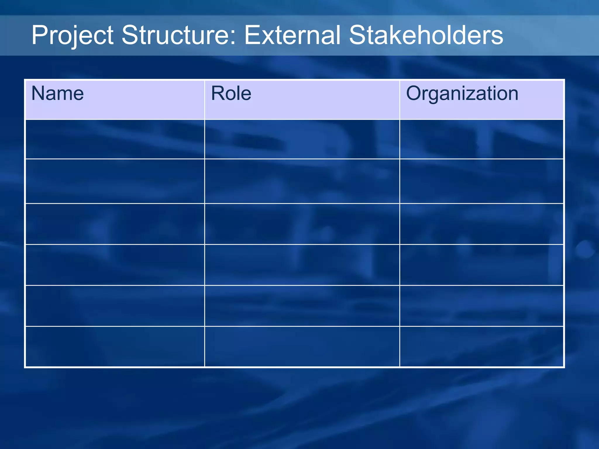 Name Role Organization
Project Structure: External Stakeholders
 