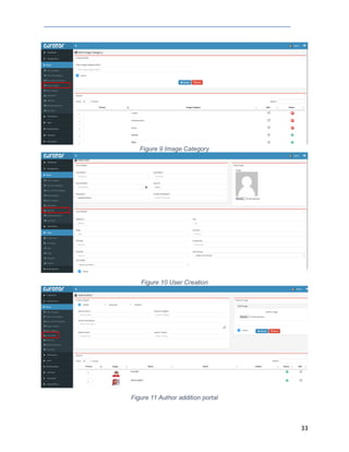 Sample GAP Analysis Report for CMS System | PDF