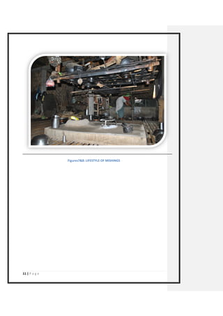 11 | P a g e 
Figures7&8: LIFESTYLE OF MISHINGS 
 