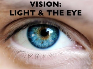 VISION:
LIGHT & THE EYE
 