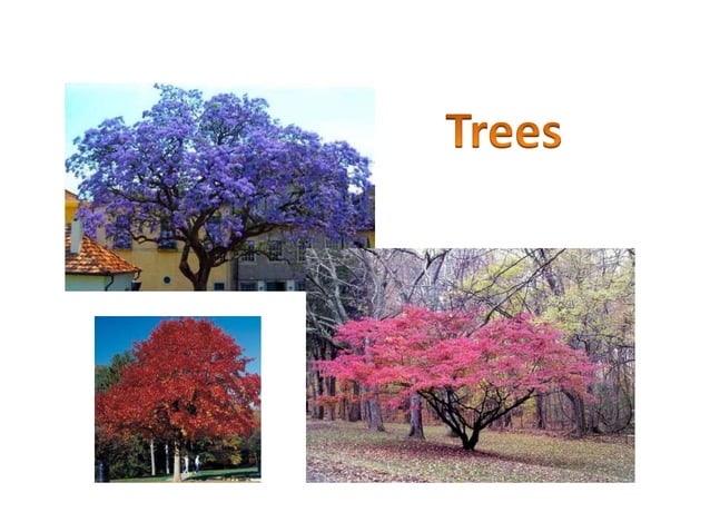 sample-lesson-plan-in-epp-ppt