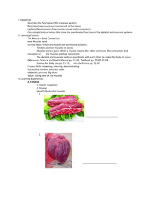 I. Objectives
Describes the functions of the muscular system
Illustrates how muscles are connected to the bones
Explains/Demonstrates how muscles cause body movements
Cites simple body activities that show the coordinated functions of the skeletal and muscular systems
II. Learning Content
The Muscle – Bone Connection
How Muscles Work
Science Ideas: Voluntary muscles are connected to bones.
Tendons connect muscles to bones.
Muscles work in pairs. When a muscle relaxes, the other contracts. The contraction and
relaxation of the muscles produce movement.
The skeletal and muscular systems coordinate with each other to enable the body to move.
References: Science and Health Manual pp. 31-34, Textbook pp. 59-60, 61-63
Science For Daily Use pp. 13-17, Into the Future pp. 12-18
Process Skills: observing, inferring, demonstrating
Vocabulary: tendon, contract, relax
Materials: pictures, flip chart
Value: Taking care of the muscles
III. Learning Experiences
A. ENGAGE
1. Health Inspection
2. Review
Identify the kind of muscles.
1.
_________________________
2.
___________________________
 