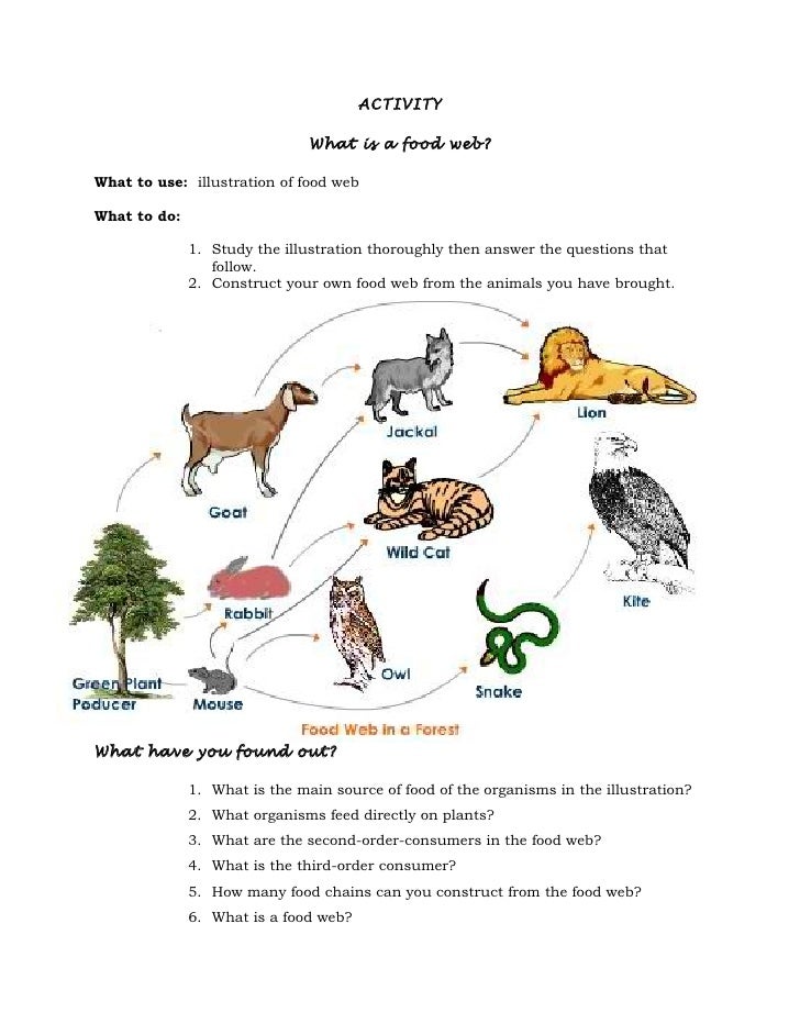 Worksheets Create A Food Web Worksheet create a food web worksheet syndeomedia