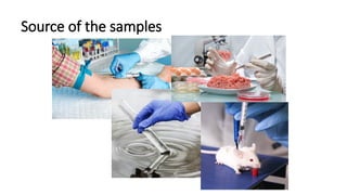 Clinical Sample Testing Protocol Comprehensive Guide to Sample Management in Clinical Laboratories for ...